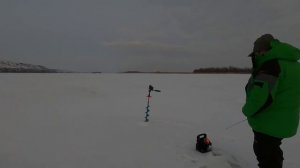 Ловля судака со льда. Зимняя рыбалка