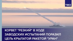 Корвет "Резкий" в ходе заводских испытаний поразил цель крылатой ракетой "Уран" #shorts