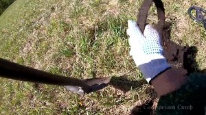 Поиск Золота с Сибирским Странником Встреча Чёрного Копателя Minelab X-TERRA 705 Minelab CTX 3030