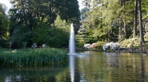 The fountain, crystal springs rhododendron garden.Portland Oregon USA.