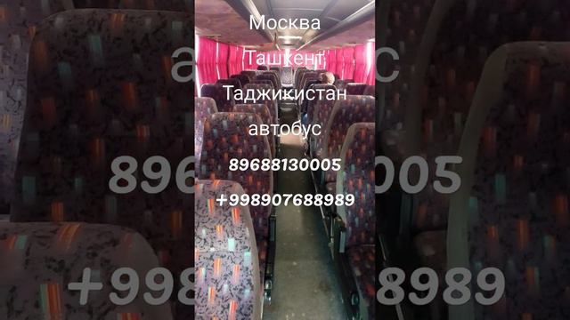 Москва Ташкент Таджикистан Автобус ##питер #такси #узбек #тула #таджик #Москва # Узбекистан #Рязань