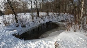 Санкт-Петербург Южно Приморский Парк зима  2023.02.20