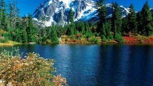 Христианская музыка -Маяк Спасения(Волынь)