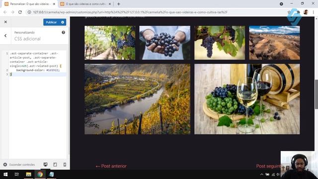42051 - Personalizando Astra Utilizando CSS - Curso de WordPress 2021 смотреть онлайн