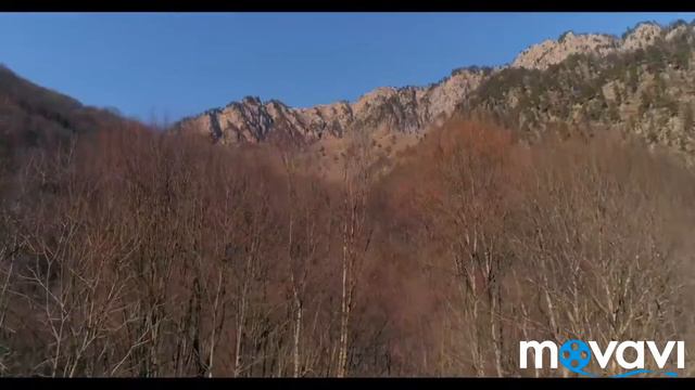 Красивая природа Чечни. Реки, горы, леса. Съемки с квадрокоптера.