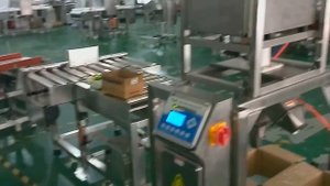 Металлодетектор гравитационного типа IMD-I-P