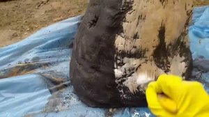 #камень из цемента Булыжник из старого строительного ведра