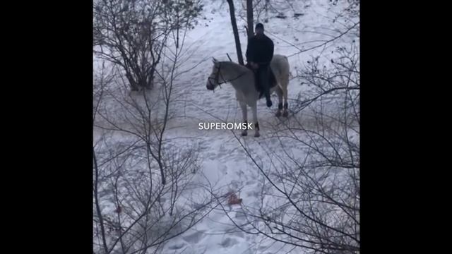 Омский принц сделал предложение руки и сердца верхом на коне смотреть онлайн