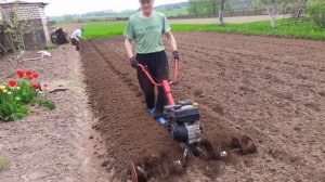 Культиватор MTD T330 M в 07.05.2017 г.