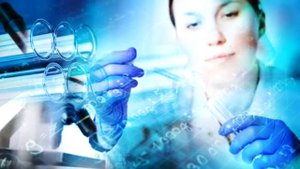 Школьные предметы. Для начальных классов.