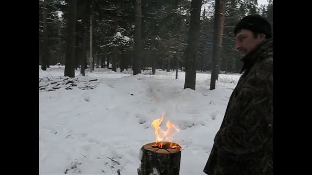Ветлугаи в лесопарке смотреть онлайн
