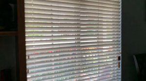 Мой муж американец Барахольщик? Garage sale и Аукционы | Семейный Влог США