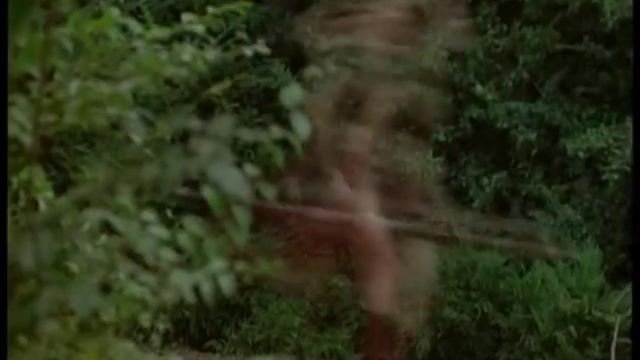 Побег из курятника смотреть онлайн