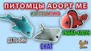 Питомцы Adopt Me: Дельфин, Скат и Рыбка Клоун | Sofit Sun