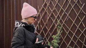 Необычный способ создания вечнозеленой стены! Как создать живую изгородь из можжевельника?