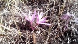 И ГРЯНУЛ СНЕГ / ПРОДОВОЛЬСТВЕННАЯ БАЗА ПРИЕХАЛА / РЕМОНТ ПРОДОЛЖАЕТСЯ / ВЛОГ...