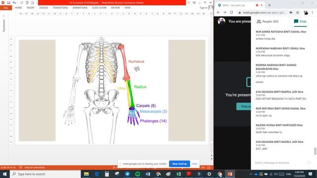 Chapter 6 Endoskeleton Vertebrae and Human Skeleton Science Form 4 KSSM Online Class смотреть онлайн
