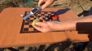 Виноград Буба на прививке этого года.