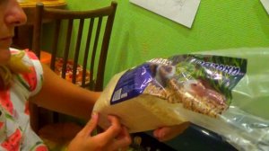 134.Уход за сирийским хомяком,самое важное. Наш хомяк