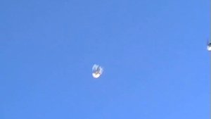 Торцовые голуби стиль полёта