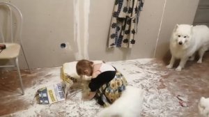 Смешные дети до слёз,