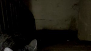 1 медицинский институт Санкт-Петербург