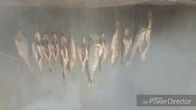 Коптильня.Холодное копчение,щука,окунь,жерех
Деревенский парень