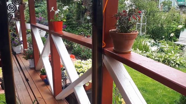 Вы удивитесь что я нашла на мусорке обычного СНТ! смотреть онлайн