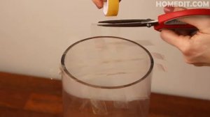 Как красиво организовать цветы в вазе. Хитрость от профессионалов