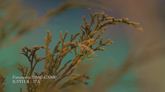 4k video footage Panasonic DMC-GX800 + JUPITER - 37A смотреть онлайн
