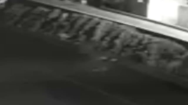 Камера видеонаблюдения зафиксировала двух загадочных существ спускающихся с неба смотреть онлайн