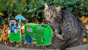 Игрушечный паровозик против котика / Видео про поезда-игрушки