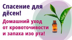 Уход за дёснами, масло чайного дерева.