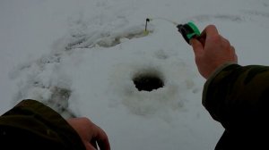 Ловля на балду.Окунь любит эту приманку.