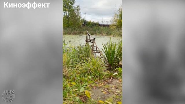 iPhone 13 - обзор, распаковка, первое впечатление смотреть онлайн