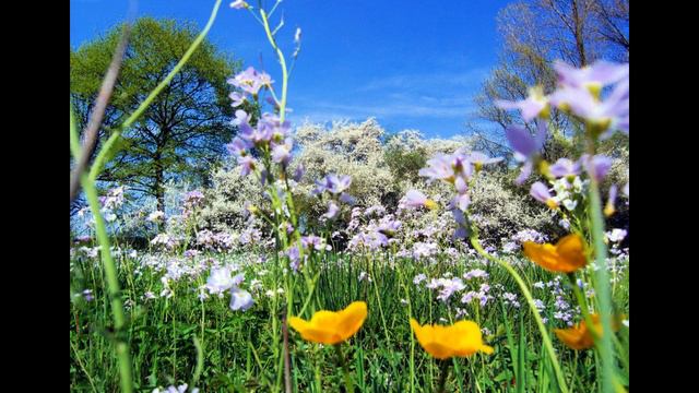 Antonio Vivaldi - The Four Seasons: Spring смотреть онлайн