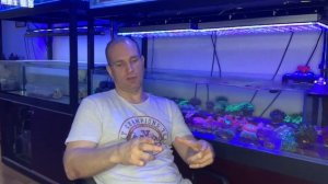 "Рифовый Аквариум" Дисбаланс Н/Ф. Часть 31