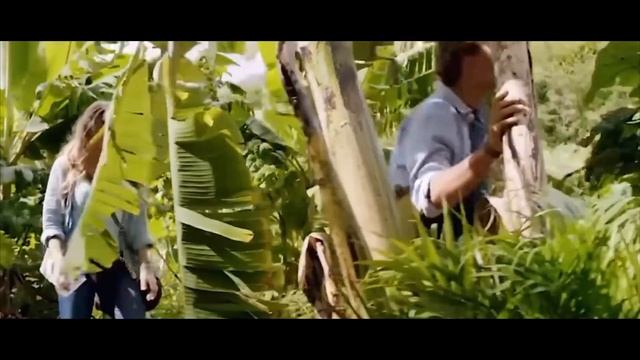 Молодой парень застрял на острове с красивой девушкой, и единственное, что ему остается делать, это смотреть онлайн