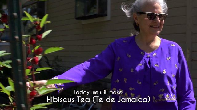 Hibiscus Tea with Special guests - Te de Jamaica смотреть онлайн