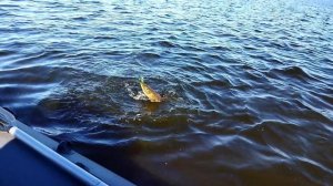 Осенний выезд на Каму