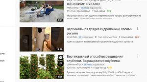 Как вырастить большой урожай клубники на самоизоляции в пределах одного балкона