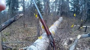 Моё ружье иж12кал.16 shotgun IZH 12 cal.16