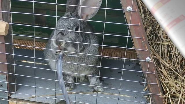 Трейлер для новых зрителей смотреть онлайн