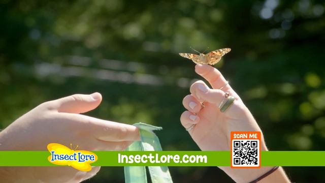 Teach Your Kids the Wonder of Nature | Live Butterfly Garden | Insect Lore смотреть онлайн