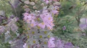 ПРИЗНАКИ ПЕРВЫХ МЕСЯЧНЫХ ??? ￼ #советы #когда #девочки #секреты#мс #прокладки