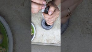 Птенец стрижа кормление