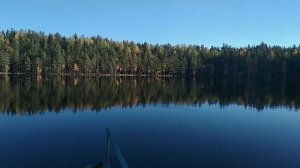 За грибами в Петяярви ????