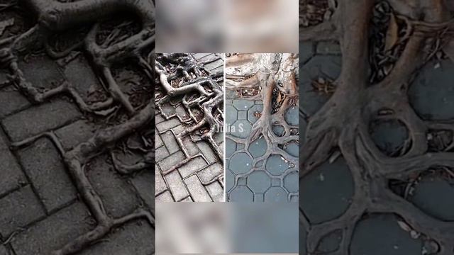 Это нельзя делать с телефоном смотреть онлайн