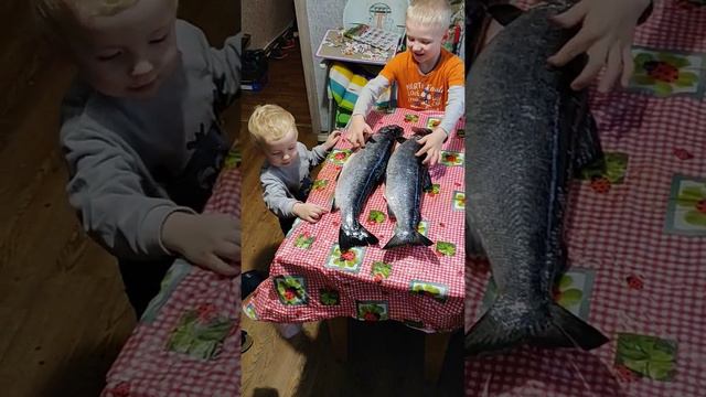 После рыбалки. Лосось и дети смотреть онлайн