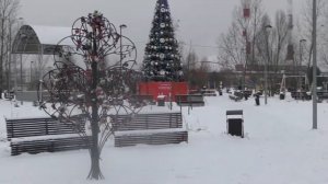 Предновогодний Зеленоград